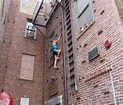 wallclimber